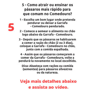 comedouro instrucciones 5