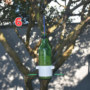 comedouro instrucciones