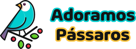 logo artesanato jaragua